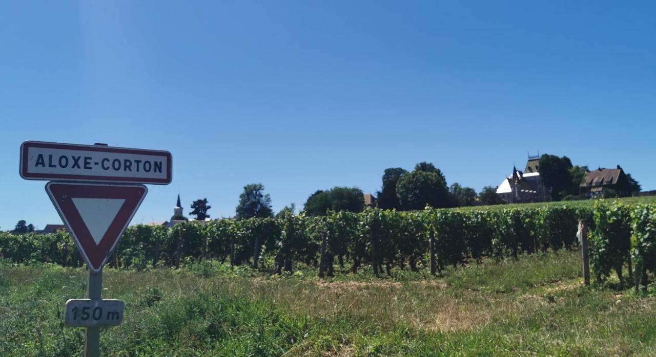 Appt Proche Des Vignes Apartamento Perrigny-les-Dijon Exterior foto